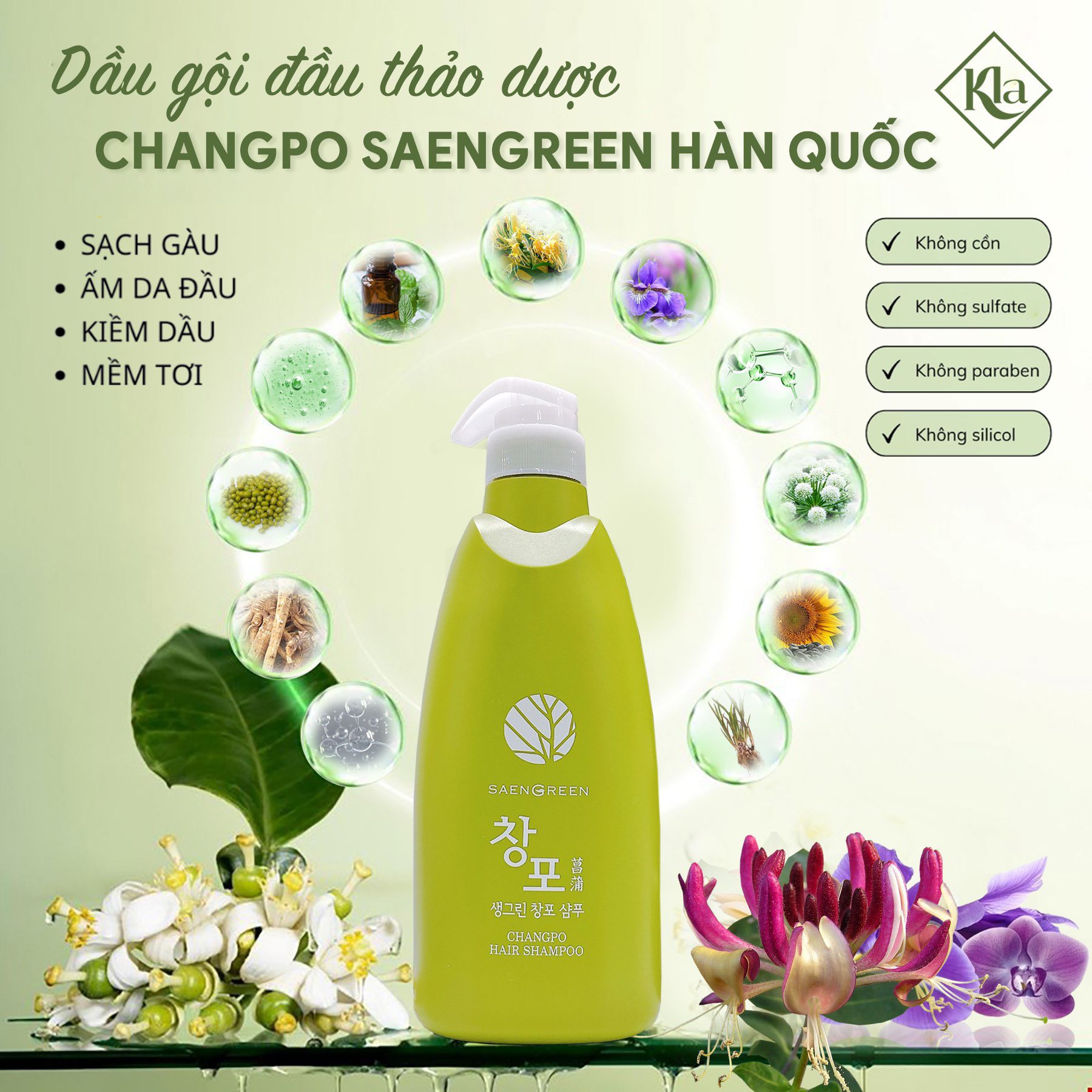 DÂU GỘI THẢO DƯỢC SAENGGREEN HÀN QUỐC 600ML